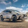 Lexus NX Overtrail black décor