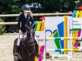 post_big/Gadgets-for-Horses-and-Equestrians-1.jpg