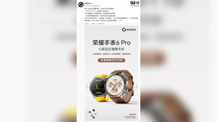 Honor Watch 6 Pro : elle ...