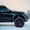 Элементы дизайна Q6 Sportback E-Tron