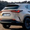 Lexus NX Overtrail with black synthetic leather