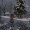 ROTTR_2018_06_18_09_07_29_669.jpg