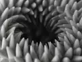 post_big/0_z530c4uz.jpg