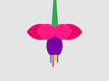 post_big/nexus2cee_fuchsia-01.png