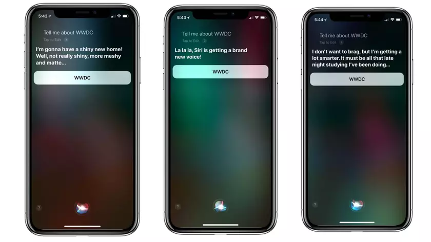 Новый голос и HomePod: Siri проговорилась о новинках WWDC 2018 (или нет)