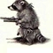Green Racoon