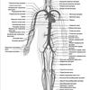 Обзор PocketBook 633 Color с экраном E-Ink Kaleido: всеядность в цвете-9