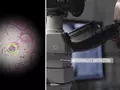 post_big/google-smart-ar-microscope-m.jpg