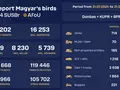 post_big/stats.birds414.com.jpg