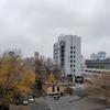 P81031-160424.jpg