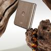 Motorola Edge 60 Pro model preview