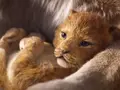 post_big/the-lion-king-2019.jpg