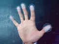 post_big/Display_Fingerprint_Solution_DFS.jpg