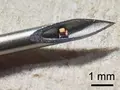post_big/Injectable_Chip.jpg
