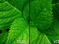 files/u2219/oled-tv-vs-lcd-tv.jpg