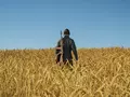 post_big/GRfNUOGb0AI0Hd_.jfif