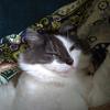 Zenfone_Camera_52.jpg