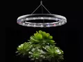 pr_news/1650593703-360_degree_plant_care_system_with_automated_watering_hero.jpg