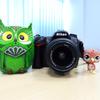 IMG_20180817_135604_3.jpg