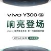 Смартфон Vivo Y300 задній динамік мініатюра