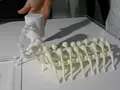 Ползающие роботы из ваших кошмаров