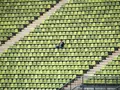 post_big/stadium-165406_1280.jpg