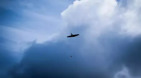 Міноборони України кодифікувало безпілотні «бомбери» В-1