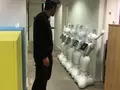 Роботы встречают своего хозяина