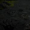 Огляд Death Stranding: я чекатиму тебе на березі-17