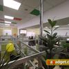 Volia_callcenter_06_03.jpg