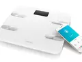 post_big/meizu-smart-body-fat-scale-1.jpg