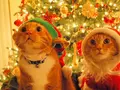 post_big/viber-bot-moroz-new-year-xmas.jpg