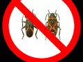 files/u1/2010/12/no_anonymous.jpg