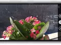 Приложения для Windows Phone: Nokia Refocus