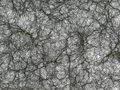 Создана самая большая симуляция Вселенной