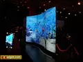 LG Display: «Гибкие OLED-дисплеи появятся в массовых продуктах в первой половине 2017 года»