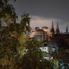 Приклади фото камер Motorola Edge 40 Neo