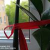 IMG_20170426_130322.jpg