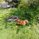 20170502_135259.jpg