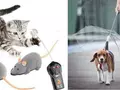 Без кота и жизнь не та: 13 гаджетов для любителей кошек и собак