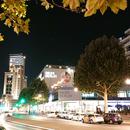 DSC_0594.JPG