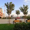 IMG_20180911_184522.jpg