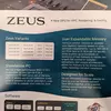 Миниатюра презентации ZEUS