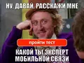 Тест: знатоки мобильного интернета