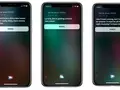 Новый голос и HomePod: Siri проговорилась о новинках WWDC 2018 (или нет)