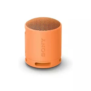 Sony SRS-XB100