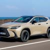 Lexus NX Overtrail interior