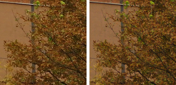 nx100_jpeg_raw.jpg