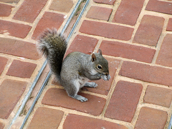 IMG_0100.jpg