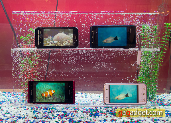 Arrows-Aquarium-1.jpg